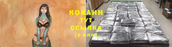 амф Магас