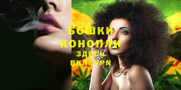 амф Магас