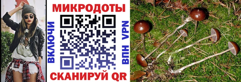 Псилоцибиновые грибы Magic Shrooms  Усмань 